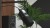 GEAR-M-MX10-FA-6