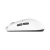 ZX2-White-2.png