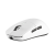 ZX2-White-3.png